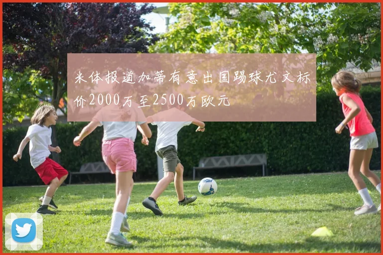 米体报道加蒂有意出国踢球尤文标价2000万至2500万欧元
